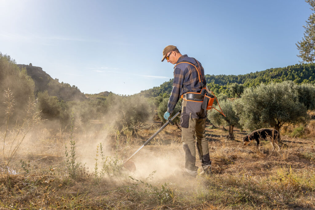Bedrijfsfoto van onderhoud aan een olijfboomgaard (finca) in Spanje.